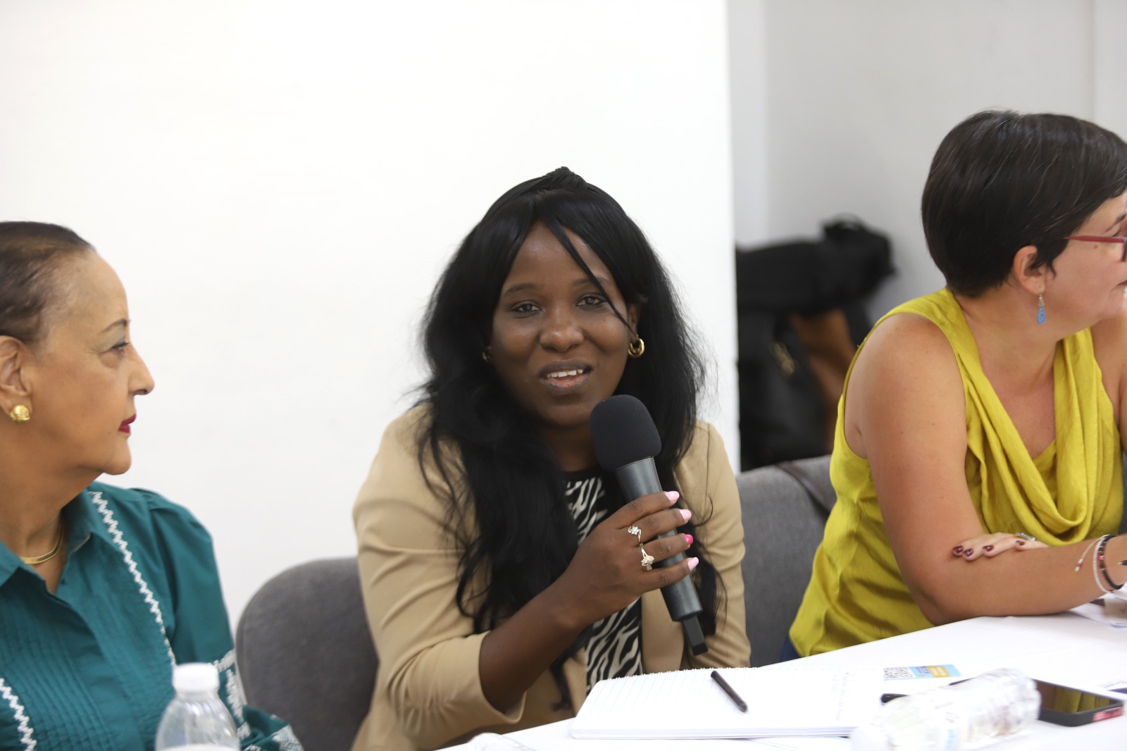 aniris Hernández, viceministra primera del gobierno de Cuba